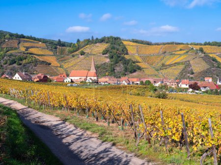 Das Dorf Niedermorschwihr in Frankreich liegt im Tal der Weinberge und ist typisch für die elsässische Weinstraße.