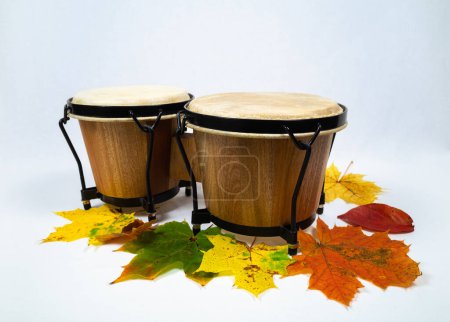 Téléchargez les photos : Une paire d'instruments à percussion congas sur fond blanc et des feuilles d'automne colorées. - en image libre de droit