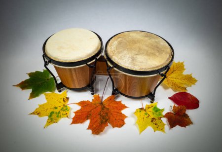 Foto de Un par de instrumentos percusivos de congas sobre el fondo blanco y hojas coloridas de otoño. - Imagen libre de derechos