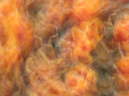 A vibrant orange abstract pattern created with intentional camera movement, making a unique and captivating background.