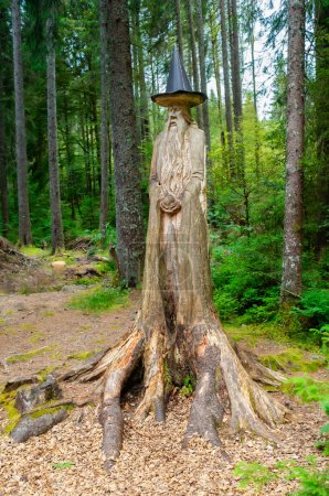 Téléchargez les photos : Bernau, Allemagne - 1er juillet 2023 : Le magicien du bois dans le sentier de la forêt magique, menant à travers le paysage enchanté de la lande des Taubenmoos à Bernau, région de la Forêt-Noire en Allemagne. - en image libre de droit