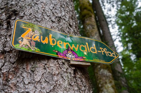 Téléchargez les photos : Bernau, Allemagne - 1er juillet 2023 : Zauberwald-Pfad - Le sentier forestier magique qui mène à travers le paysage enchanteur de la lande des Taubenmoos à Bernau, région de la Forêt-Noire en Allemagne. - en image libre de droit