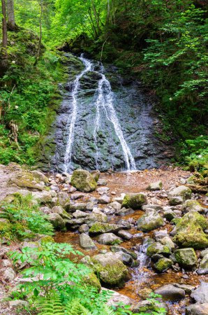 Téléchargez les photos : Belle cascade dans la forêt près de Bernau, Forêt Noire, Allemagne - en image libre de droit