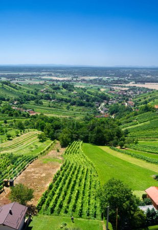 Téléchargez les photos : Vue depuis la tour d'observation du Vinarium sur la région viticole de Lendava, Slovénie - en image libre de droit