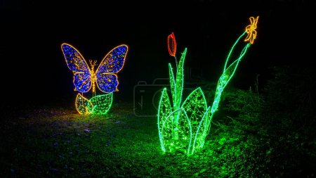Foto de Mainau, Alemania - 27 de diciembre de 2023: Un jardín de Navidad es un evento navideño con hermosas creaciones de luz e iluminación en la isla de Mainau, en el lago de Constanza. - Imagen libre de derechos