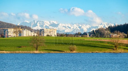 Spring scene on a sunny day by the lake of the Katzenseen nature reserve, Affoltern, Switzerland. View of the Alps.
