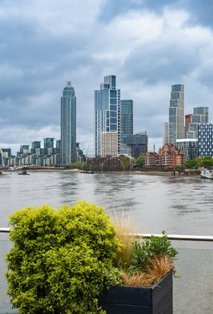 View of St.Georges Wharf, Park Hyatt London and other modern skyscrapers along the River Thames in London. Decorative plant in the foreground
