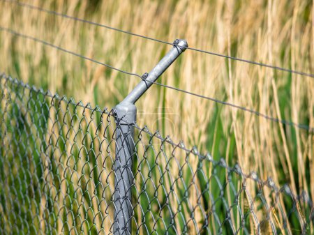 Close-up of a chain-link fence in a sunny outdoor setting