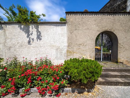 Serene courtyard in Rapperswil, Switzerland, with white stucco and stone walls, arched wooden door, potted plants.