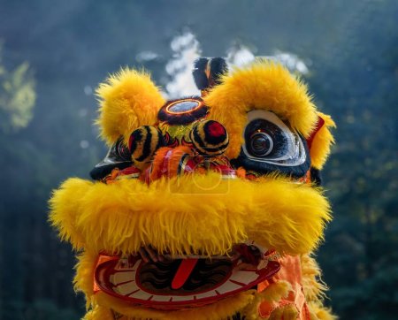 Photo for Traditional lion dance. Close-up of one yellow lion mask. Celebration in Chinese New Year. - Royalty Free Image