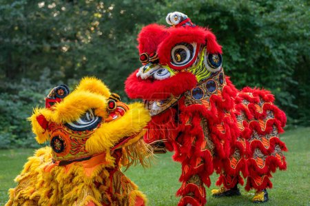 Photo for Traditional lion dance. One yellow lion and one red lion. Celebration in Chinese New Year. - Royalty Free Image