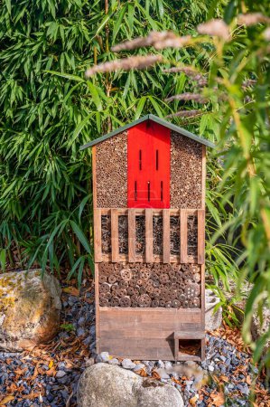 Ein rotes Insektenhaus aus Holz im Garten. Käferhotel im Park mit Pflanzen. Draußen.