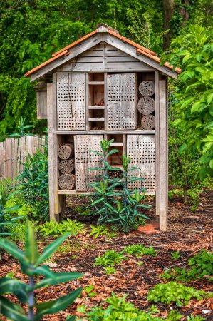 Ein Insektenhaus aus Holz im Garten. Käferhotel im Park mit Pflanzen. Draußen.