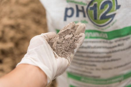 Téléchargez les photos : Rachaburi, Thaïlande - 29 Oct, 2023 : Sac de TPI Super Calcium dans la marque pH12 Premium grade à l'examen pour améliorer le sol avant la plante - en image libre de droit