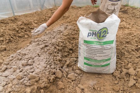 Téléchargez les photos : Rachaburi, Thaïlande - 29 Oct, 2023 : Sac de TPI Super Calcium dans la marque pH12 Premium grade à l'examen pour améliorer le sol avant la plante - en image libre de droit