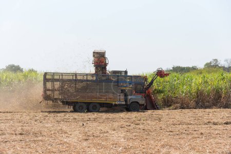 Foto de Cosechadora de caña de azúcar y tractor de diez ruedas - Imagen libre de derechos