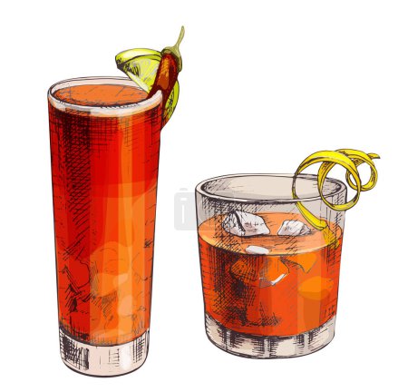 Negroni and Vampiro pepper cocktail with ice cube, twist slice lemon, cherry, orange. Vector vintage engraved color illustration. Isolated on white background. Hand drawn design