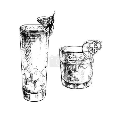 Negroni and Vampiro pepper cocktail with ice cube, twist slice lemon, cherry, orange. Vector vintage engraved black illustration. Isolated on white background. Hand drawn design