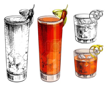 Negroni and Vampiro pepper cocktail with ice cube, twist slice lemon, cherry, orange. Vector vintage engraved color illustration. Isolated on white background. Hand drawn design
