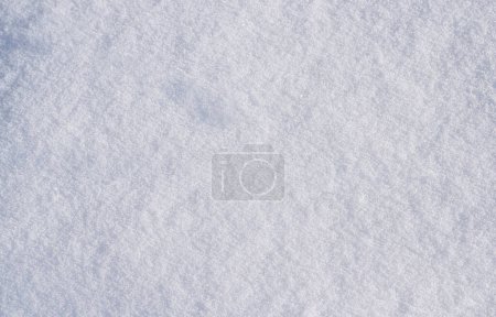 Foto de Plano liso cubierto de nieve en un día soleado. - Imagen libre de derechos