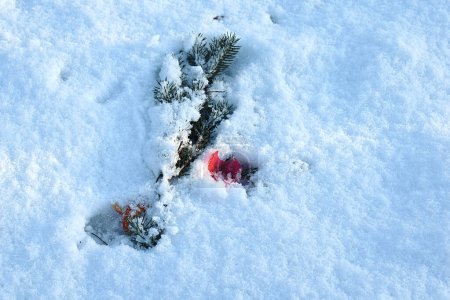 Téléchargez les photos : Une branche d'arbre de Noël, et un jouet cassé d'arbre de Noël en plein air, poudré de neige. Le concept de la fin des vacances. - en image libre de droit