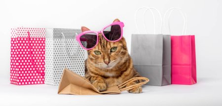 Funny red cat in glasses with paper bags isolated on white background.