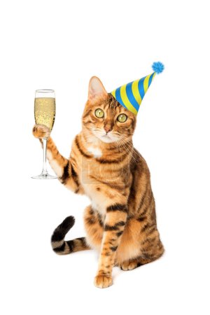 Téléchargez les photos : Chat roux à une fête sur fond blanc avec une coupe de champagne. - en image libre de droit