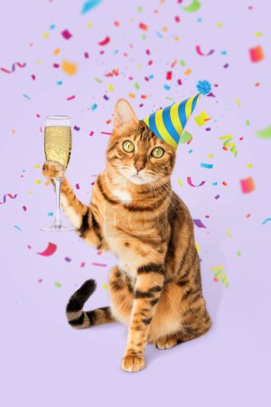 Ingwerkatze mit einem Glas Champagner auf farbigem Hintergrund. Feiern, Feiern.