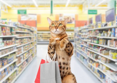 Un gato con bolsas de compras frente a estantes de comida en un supermercado o tienda de mascotas. Copiar espacio.