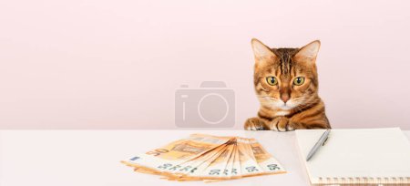 Foto de El gato doméstico se sienta a la mesa y cuenta el dinero. Presupuesto nacional. Copiar espacio. - Imagen libre de derechos