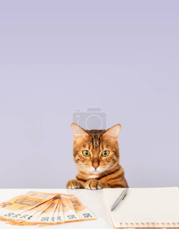 Foto de El gato doméstico se sienta a la mesa y cuenta el dinero. Presupuesto nacional. Copiar espacio. - Imagen libre de derechos