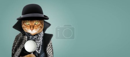 Eine Katze mit einer Lupe, die als Detektiv oder Schläfer verkleidet ist. Ermittlungskonzept.