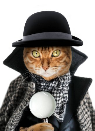 A cat with a magnifying glass dressed as a detective or sleuth. Investigation concept.