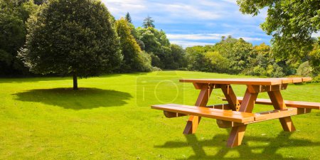 Picnic table on a green meadow with trees on background