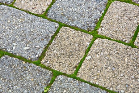 Photo for Colored concrete self locking flooring blocks with grassy joints assembled on a substrate of sand - type of flooring permeable to rain water - Royalty Free Image