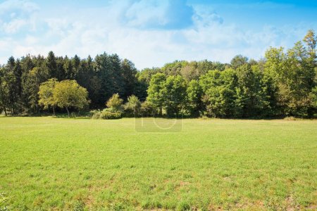 Photo for Land plot management - real estate concept with a vacant land available for building construction - Royalty Free Image