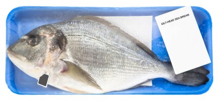 Photo for Fresh gilthead bream fish inside a plastic tray with cellophane cover packaging - Royalty Free Image