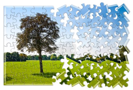 Lone tree in a green meadow - environmental conservation concept in jigsaw puzzle shape