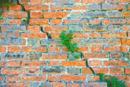 Téléchargez les photos : Vieux mur de briques exposé dangereux avec fissure profonde due à la rupture de fondation structurelle, affaissement du sol, corrosion et détérioration des matériaux de construction, changements climatiques et saisonniers, tremblement de terre - en image libre de droit