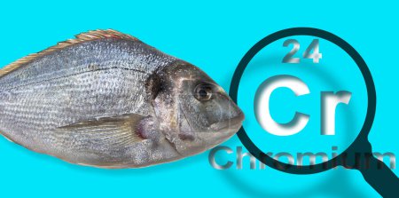 Téléchargez les photos : Présence de chrome dans les poissons d "élevage - concept avec le tableau périodique de Mendeleev et loupe - en image libre de droit