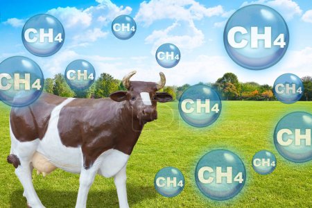 Las granjas de vacas producen gas metano que se libera a la atmósfera - concepto con modelo de vaca de plástico marrón y blanco y emisión de partículas de metano CH4 en el aire