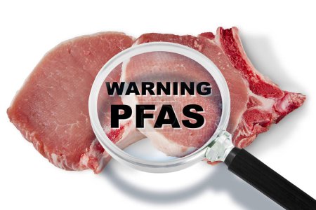 Téléchargez les photos : Steak de porc frais HACCP (Analyse des risques et maîtrise des points critiques) et recherche des substances dangereuses PFAS Perfluoroalkyl et Polyfluoroalkyl - Salubrité et maîtrise de la qualité des aliments dans l'industrie alimentaire concept - en image libre de droit