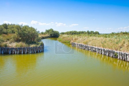Photo for The wildlife Comacchio valleys are known worldwide for eel fishing - It is a UNESCO site and protected area in Ferrara city (Emilia Romagna - Italy) - Royalty Free Image