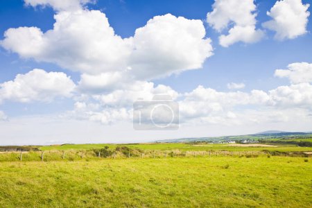 Photo for Typical Irish flat landscape with fields of grass and wooden fence  for grazing animals (Ireland) - Royalty Free Image