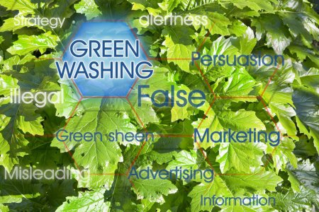 Greenwashing-Infografik mit Text gegen grünes Laub