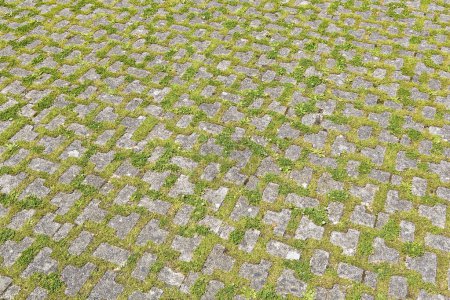Téléchargez les photos : Blocs de sol en béton avec herbe perméable à l'eau de pluie, comme l'exigent les lois sur la construction utilisées pour les trottoirs et les aires de stationnement - pavés en béton à verrouillage perméable - PIC - en image libre de droit
