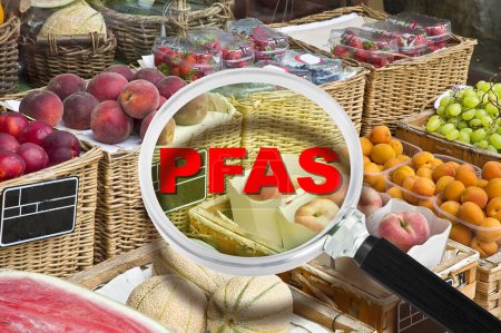 Foto de PFAS, PFOS, PFOA PFNA e PFHxS sustancias sintéticas peligrosas - Alerta de contaminación de frutas y hortalizas - Imagen libre de derechos