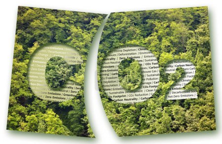 Foto de Neutralidad del carbono y concepto de reducción de CO2 frente a los bosques - Eliminar el carbono y dejar el oxígeno - CO2 Emisión Neta-Cero - Imagen libre de derechos