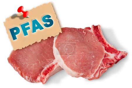 Photo for Processed meat may contain PFAS - Researchers have identified several foods including pork that contribute to increased levels of PFAS in our blood - Royalty Free Image