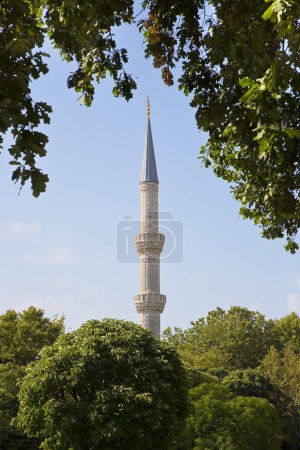 Minarette der Blauen Moschee mit Bäumen im Vordergrund - eine historische Moschee in Istanbul (Istanbul, Sultanahmet, Türkei))